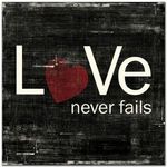 Love Never Fails Logo